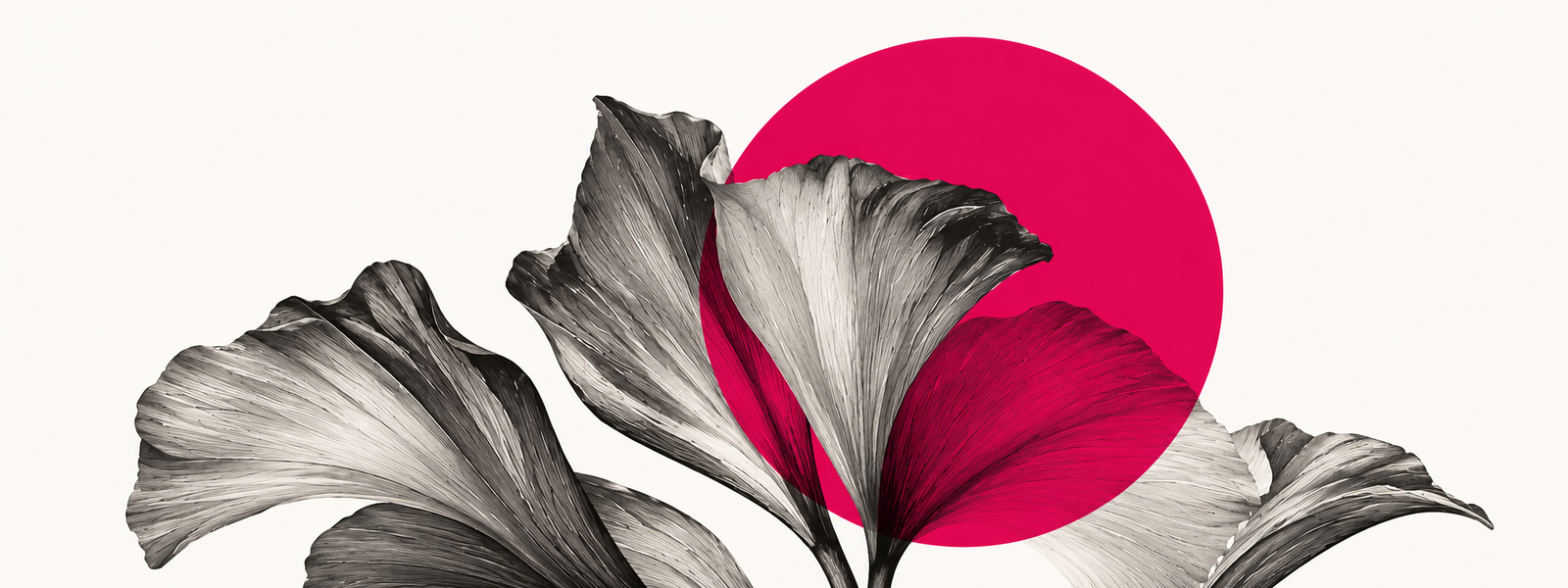 Botanical signature illustration